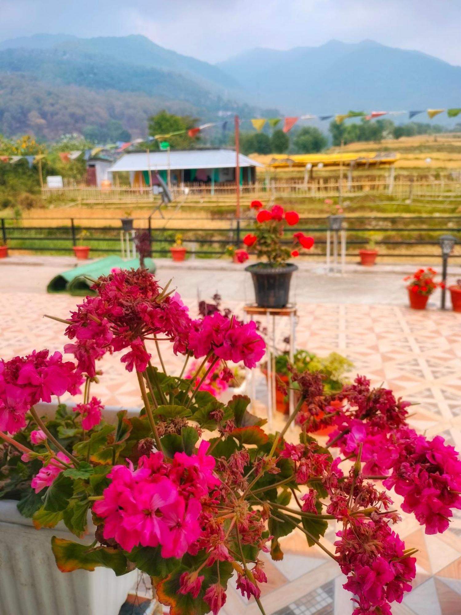 Raahi Stay, Landing Site Bir - Stay & Cafe Exterior foto